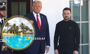 Коллаж "Телеграфа"