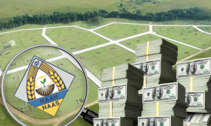 НААН - Национальная академия аграрных наук