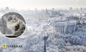 Зима в Києві