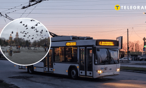 Славянск и троллейбус