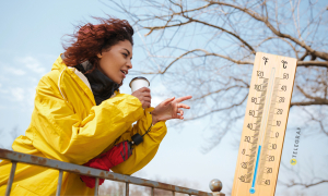 Після хвилі заморозків варто очікувати стрімкого потепління