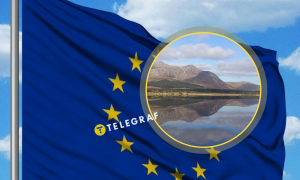 Страна в ЕС