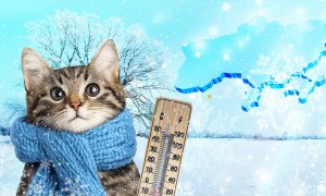 Погода в Україні на початку січня