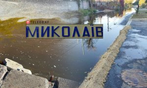 В Николаеве протекли резервуары с подсолнечным маслом из-за атаки россии
