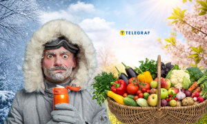 Чего ждать аграриям в этом сезоне