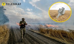 Наслідки війни для українських полів