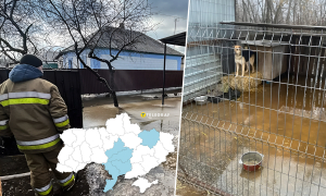 Затоплені домогосподарства