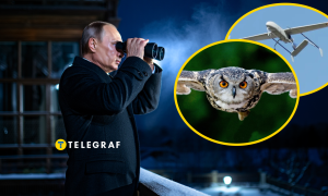 Володимир Путін