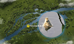 Поймать на крючок карася — проще, чем осетра