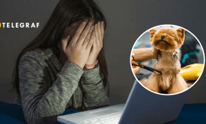 В Киеве скандал из-за жестокого обращения с животными