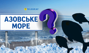 Азовское море