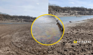 Вторая по величине река Украины уменьшилась практически вдвое