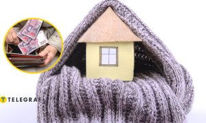 Зимова підтримка