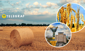 Погода в Украине