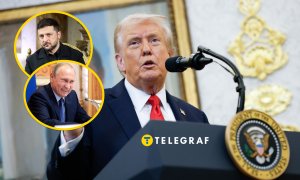 Владимир Зеленский, Владимир Путин и Дональд Трамп