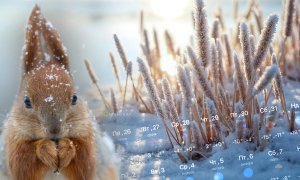 Погода в Україні наприкінці січня