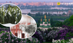 Киев, кот и Киев весной