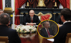 Кадр со встречи Путина, Уиткоффа и Кушнера