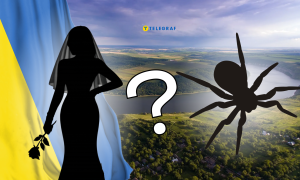 Каракурты в Україні