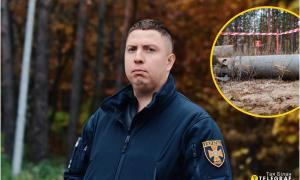 Вадим Дерімов