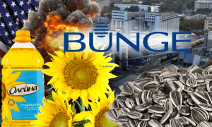 Завод "Олейна" в Днепре