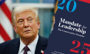 Про що насправді "Проєкт 2025"