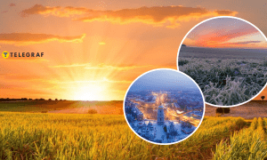 Середня температура виросла