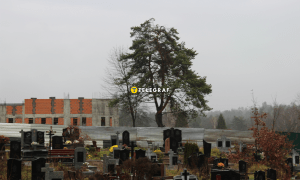 Строительство крематория во Львове