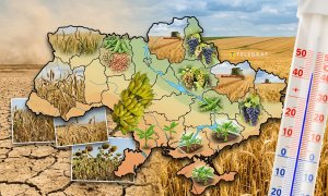Какие культуры вытеснят традиционные