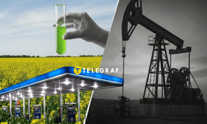 Пальне з ріпаку може частково замінити дизель