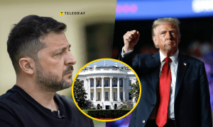 Зеленский и Трамп