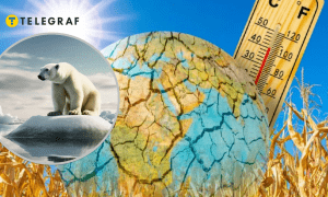 Глобальное потепление