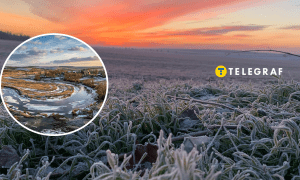 Колаж "Телеграфу"