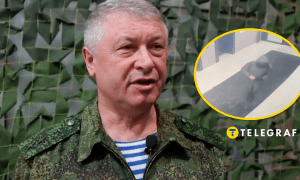 Владимир Алексеев