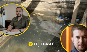 Все в воде и сорняках: в Чернигове фортификационная "зрада" на миллионы, власти обвиняют друг друга (фото)