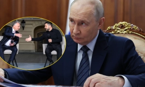 Стив Уиткофф, Владимир Зеленский и Владимир Путин
