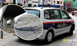 Місце вбивства Кузьміна, поліція Відня