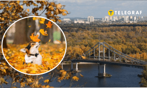 Прогноз погоди на вересень в Україні