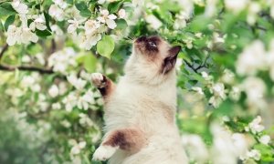 Апрель начнется с хорошей погоды