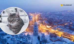 Погода в Украине