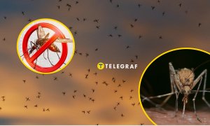 Как бороться с комарами