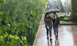 Ожидаются дожди и грозы