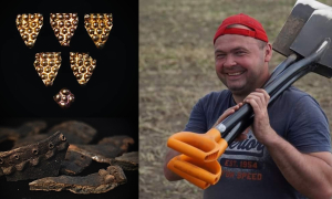 Директор заповедника "Бельск" Игорь Корост показал ценные находки