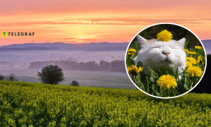 Последний месяц весны должен быть теплее