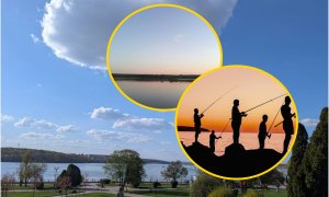 Коллаж, "Телеграф"