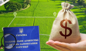 Проверка деклараций. Фото Коллаж "Телеграфа"