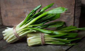 Черемша росте кожна на окремому стеблі