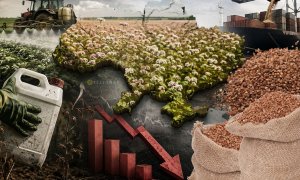 Урожай гречихи