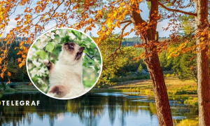 Теплая погода