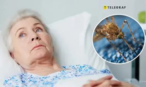 Паразитарная болезнь может поражать не только людей